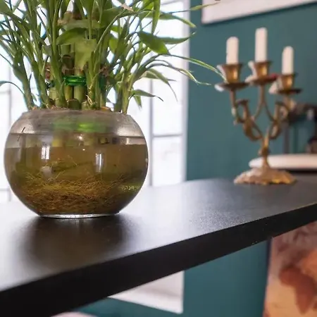 Cool Apartamento *